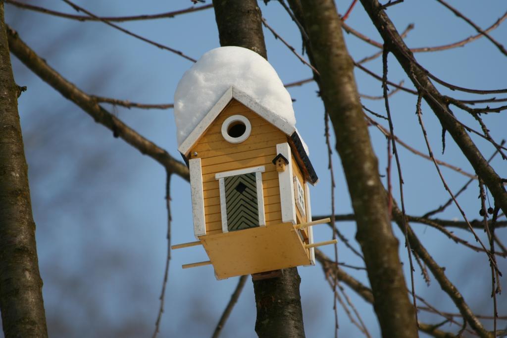B&B La Casa Di Campagna Bergamo Eksteriør billede