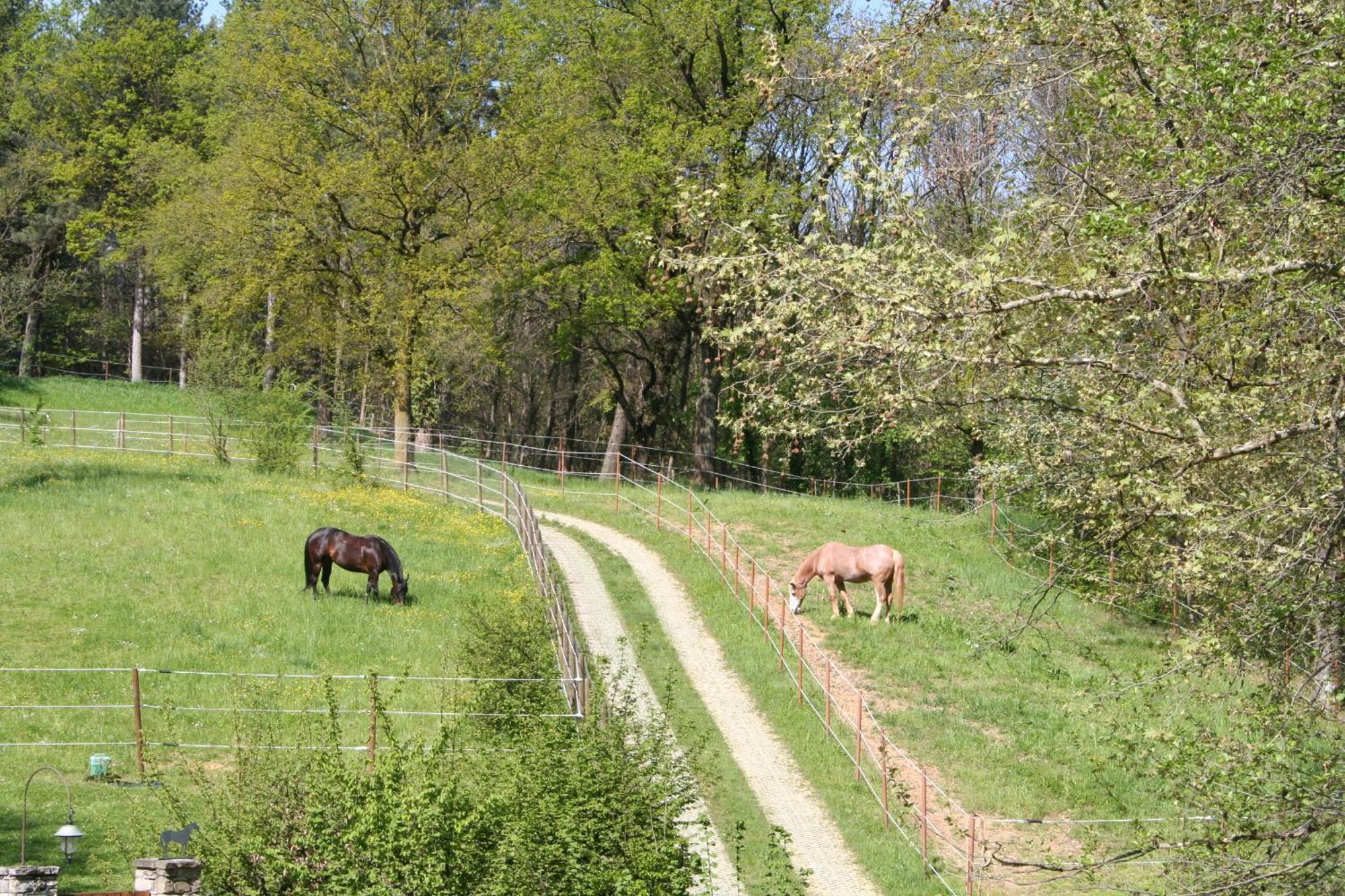 B&B La Casa Di Campagna Bergamo Eksteriør billede