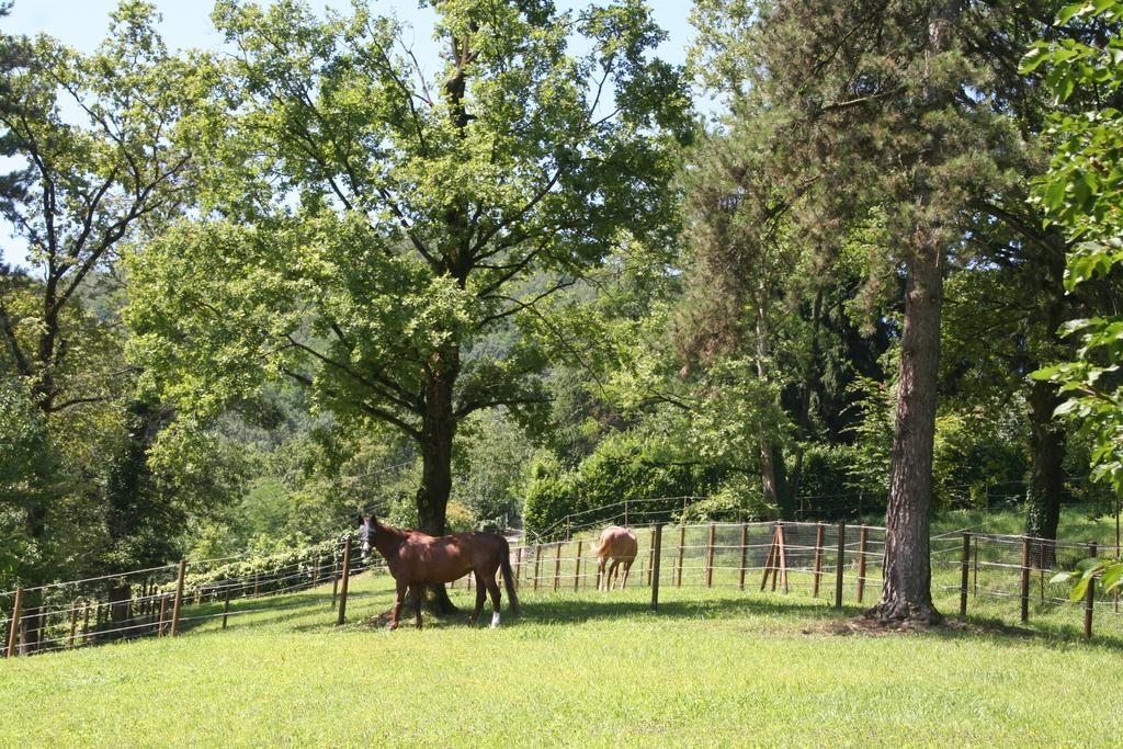 B&B La Casa Di Campagna Bergamo Eksteriør billede