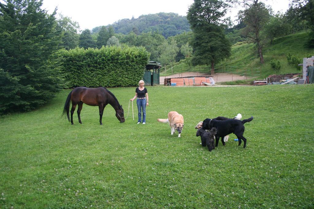 B&B La Casa Di Campagna Bergamo Eksteriør billede