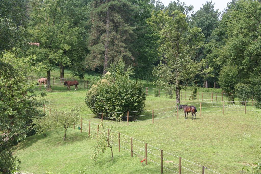 B&B La Casa Di Campagna Bergamo Eksteriør billede