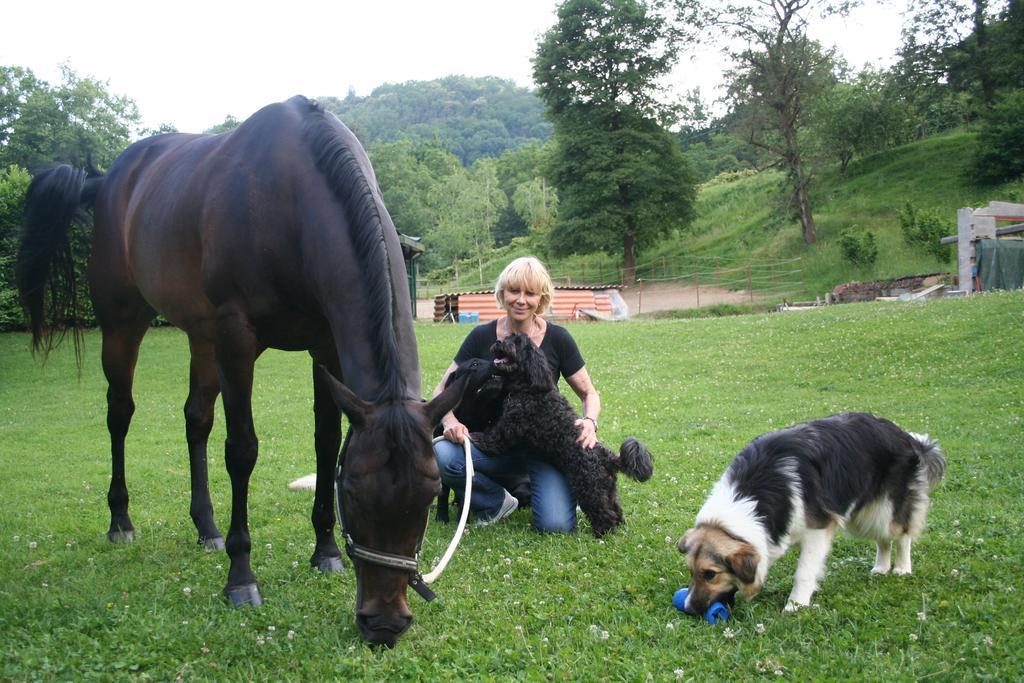 B&B La Casa Di Campagna Bergamo Eksteriør billede